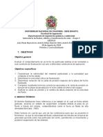 Informe Fluidi