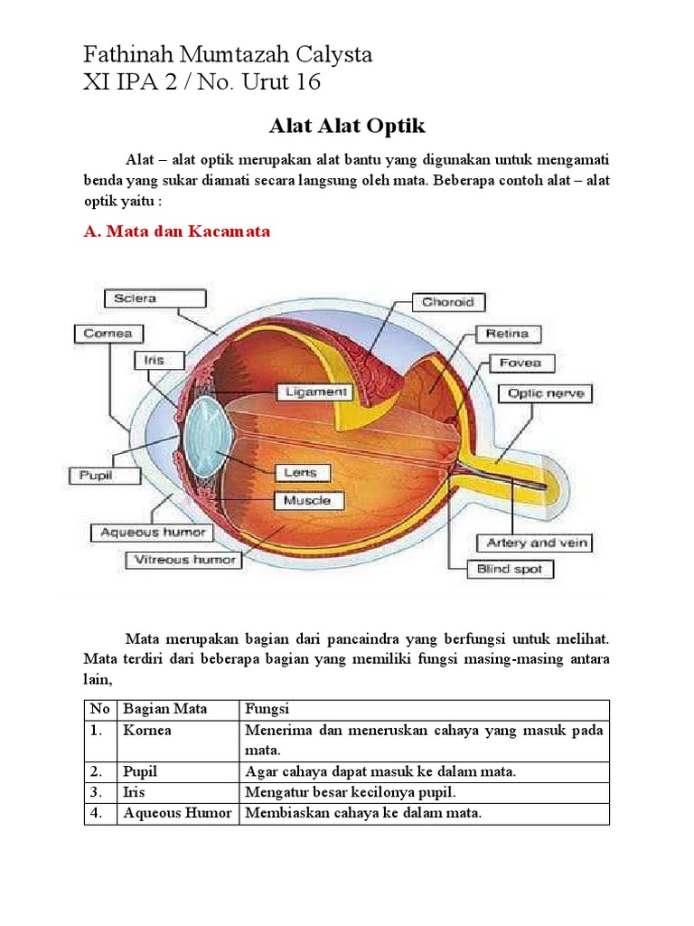 Alat Optik dan Fungsinya dalam Penglihatan | PDF | Metode & Bahan Ajar ...