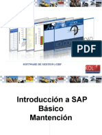 1.- Introducción a SAP Basico