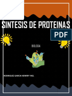 Síntesis de proteínas biología