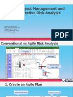 Agile Project Risk Analysis