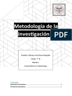 }metodologia de la investigacion