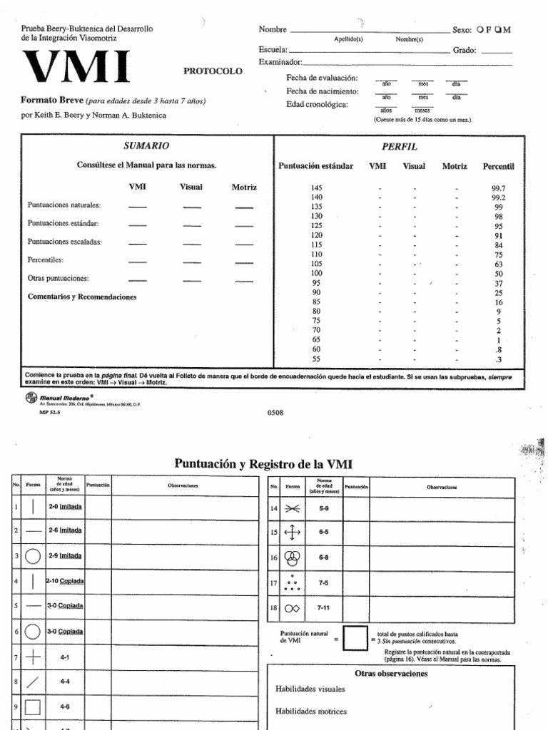 Vmi Completo | PDF