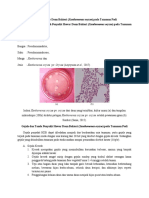 Laporan - HPPT - (Xanthomonas Oryzae) Pada Tanaman Padi