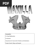 Download Maxilla by phanirg SN54221217 doc pdf