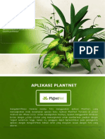 Prosedur Penggunaan Aplikasi PlantNet Dan PlantSnap