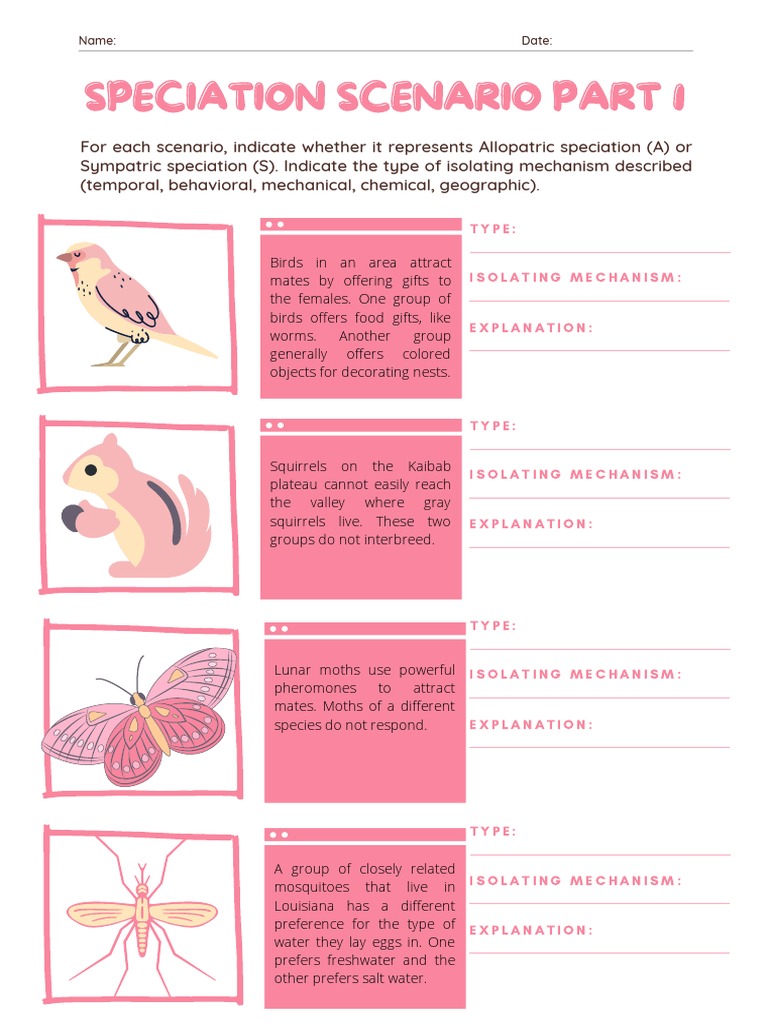 Speciation Scenario Part 1 PDF Organisms Biology
