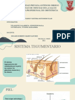 Seminario Embriología