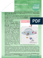 Antigen Processing and Presentation