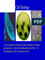 7 - Cell Biology