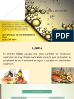 Lípidos, grasas, fosfolípidos, ceras y esteroides (1)