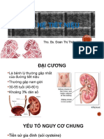 sỏi tiết niệu gửi