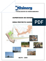 Informe_MegaProyecto_052004