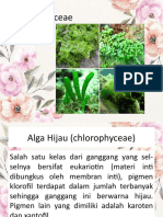 Pert 1 PORL Genap (Chlorophyceae) XI APHPi