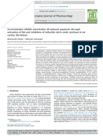 Levosimendan Inhibits IL-1β-Induced Cardiac Fibroblast Apoptosis