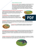 Cuáles Son Los Principales Problemas Ambientales en Perú 22-11