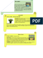 Plantas medicinales: Buscapina, Manzanilla, Hierba Luisa, Sábila