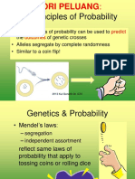 Probability & Genetics: Calculating Inheritance Using Principles