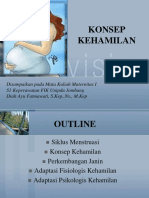 Konsep Kehamilan