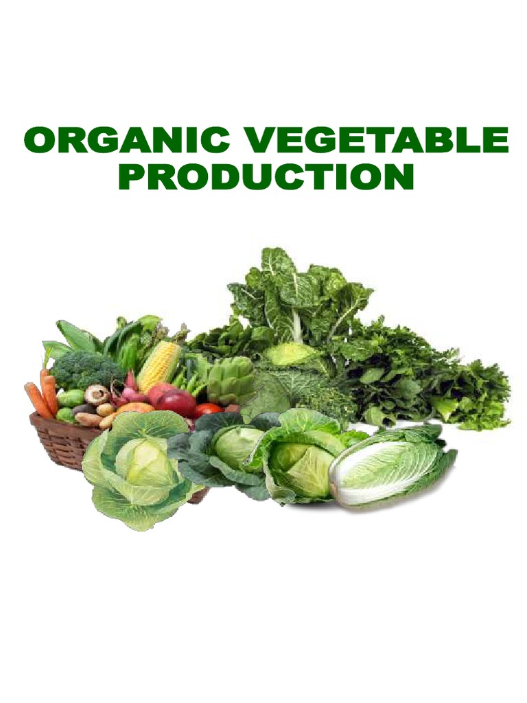 Organic Vegetable Production Guide | PDF | Vegetables | Pest (Organism)