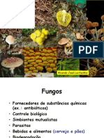 108_Fungos parte 01 (FILEminimizer)