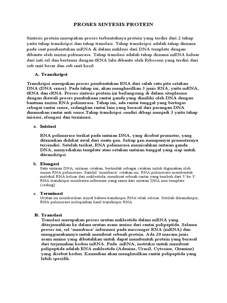 Proses Sintesis Protein | PDF | Sains & Matematika | Teknologi & Rekayasa