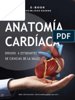 Anatomía Cardíaca 2021