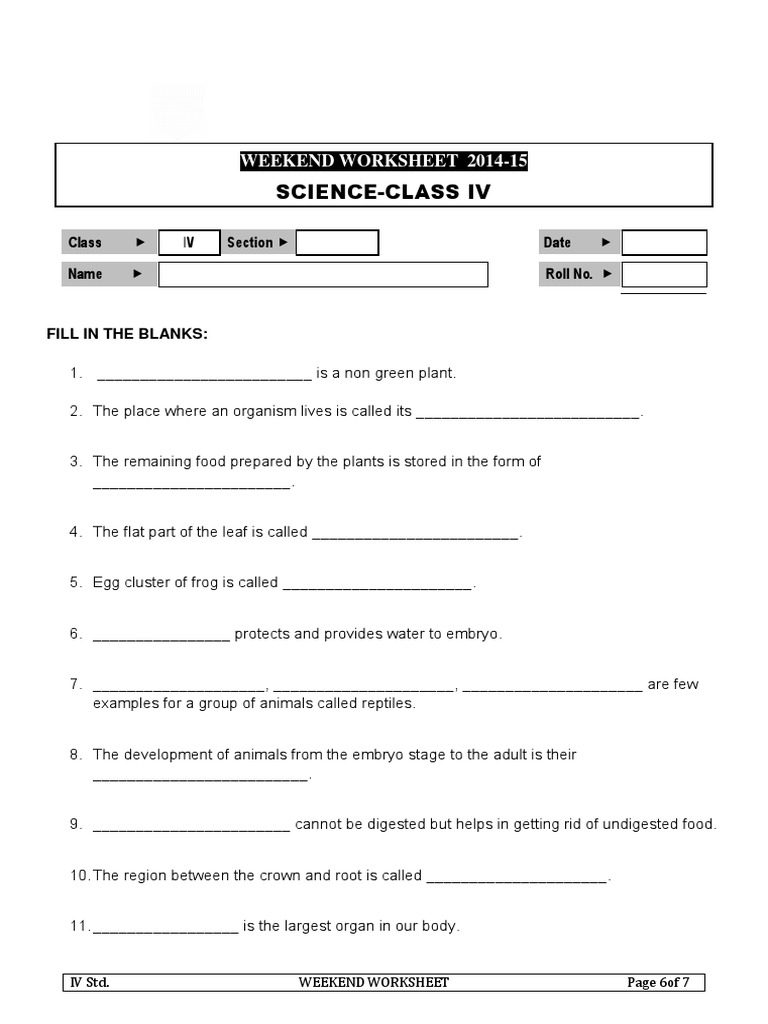 CBSE Class 4 Science Worksheet Revision PDF