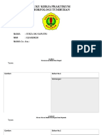 Biologi (B1) - FERZA AYU SAPUTRI - G1A020020