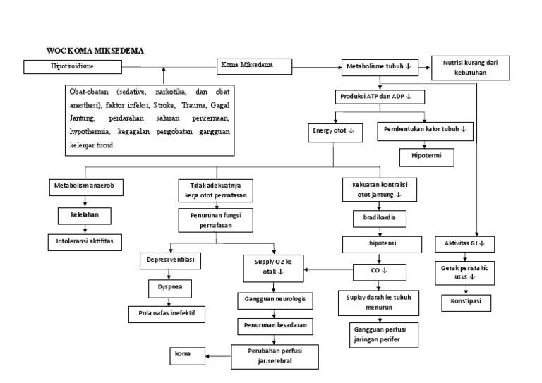 Pathway Miksedema Koma | PDF