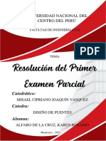 Parcial de Puentes