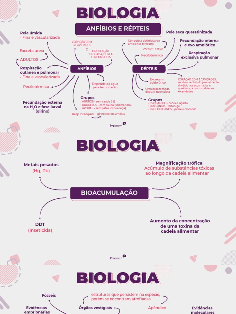 Mapa de Biologia | PDF | Anfíbio | Bile