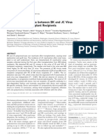 Inhibitory Interactions between BK and JC Virus among Kidney Transplant Recipients