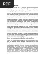 Kaplan's Cardinal Line in Hand Anatomy | PDF | Hand | Finger