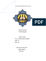 Penyakit Sistem Reproduksi Manusia