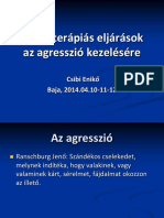 Szocioterápiás Eljárások Az Agresszió Kezelésére. Csibi Enikő Baja, 2014.04.10!11!12.