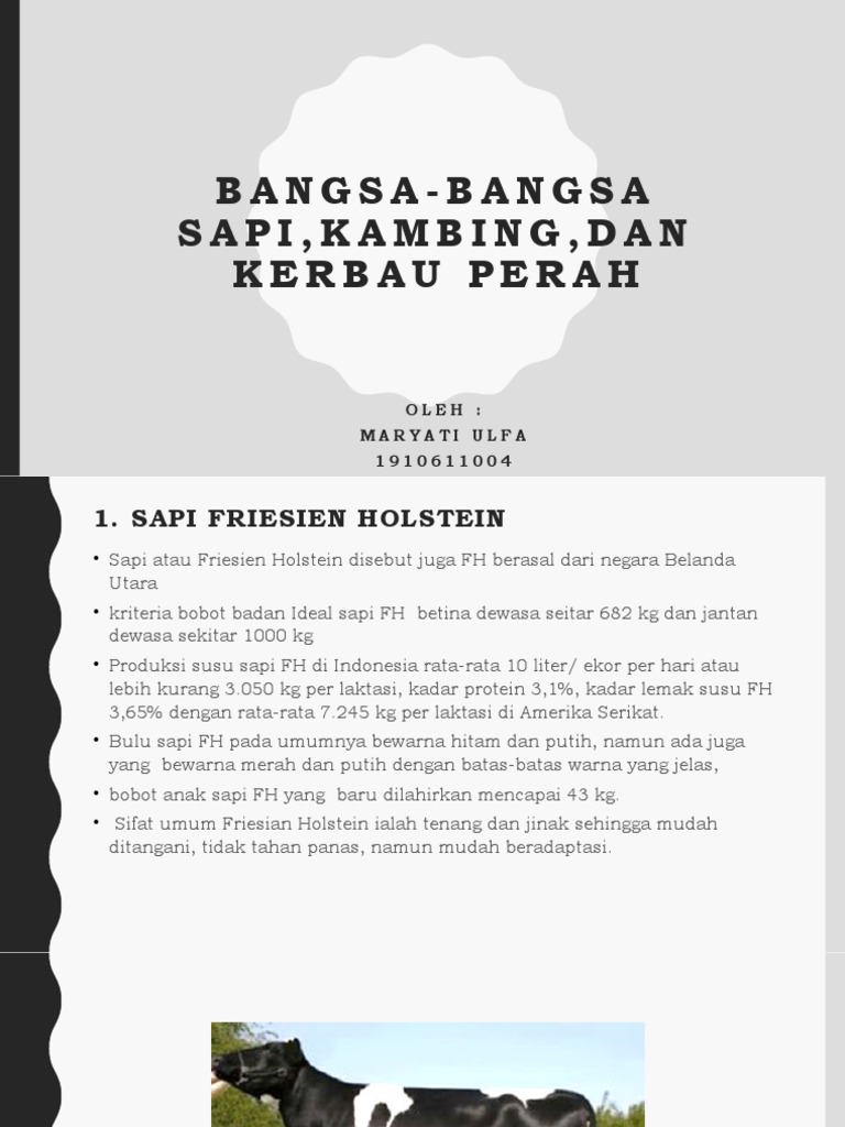 Panduan Sapi dan Kambing Perah | PDF | Kesehatan Holistik | Agama ...