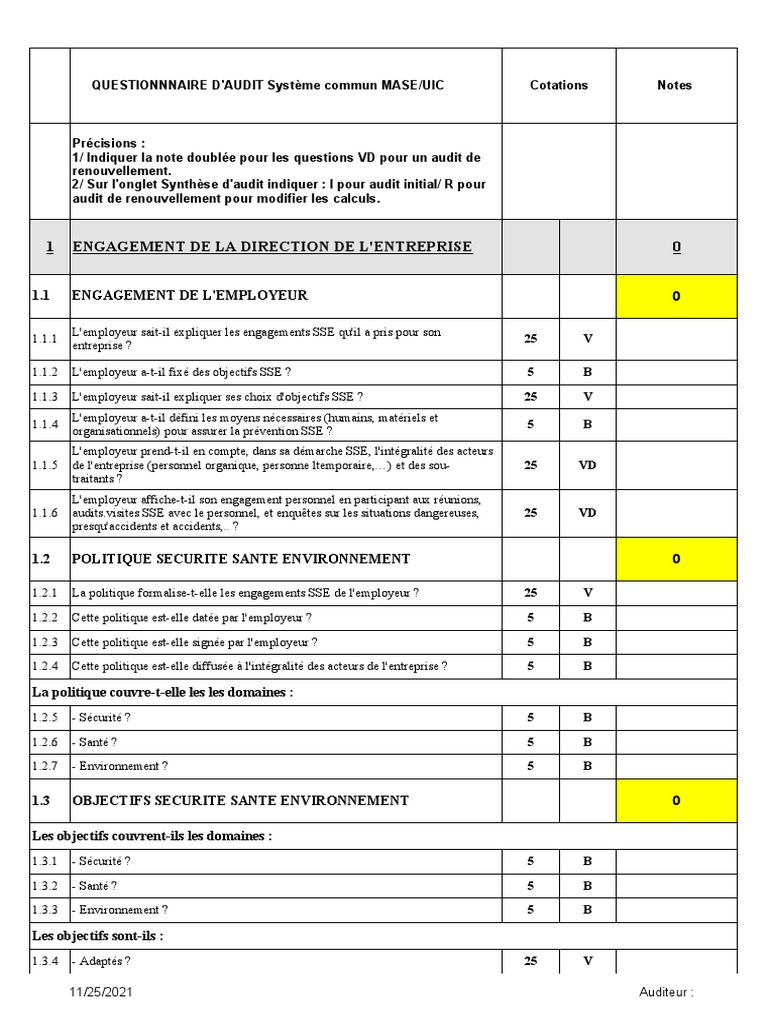 QUESTIONNAIRE AUDIT 2014 Version Excel  PDF  Audit  Compétence