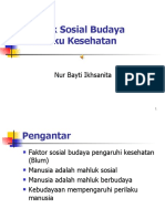 Budaya kesehatan