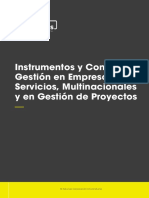 Intrumentos y Control de Gestion en Empresas de Servicios, Multinacionales y en Gestion de Proyectos Unidad 3