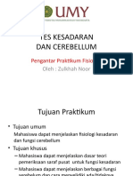 Tes Kesadaran Dan Cerebellum Online - PPTX Zul