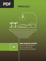 giz_avaliacao_tratamnto efluentes para producao biogas