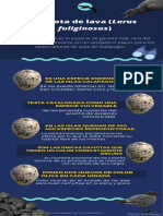 Infografia Gaviota Lava Enriquez Oscar