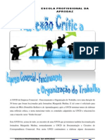 Reflexão Crítica Empresa Comercial - Funcionamento e Organização Do Trabalho