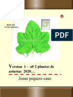Xlibro de Las Hojas de Ies Luces 2021no Official - Copia - JPC