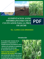 Siembra y Alimentacion