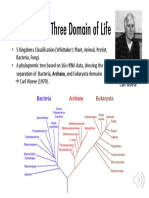 3 Domain of Life