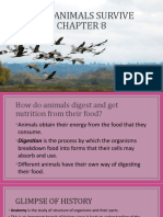 How Animals Survive