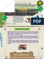 Tarea N20 Informe de Control Posterior de La Empresa Minera Chinalco S.A.