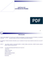 capitulo-vii-medios-de-prueba-1206863591477115-3